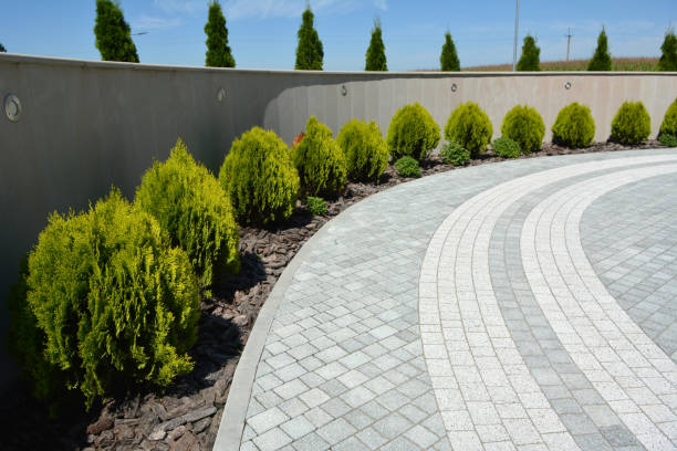Best Driveway Paving Company  in Grants Pass, OR